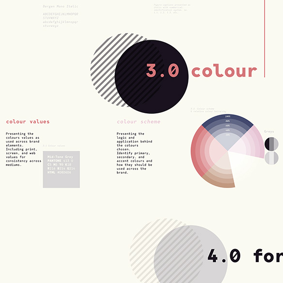 Style Guide Infographic